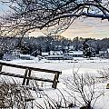 Squeteague Harbor Winter