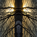 The Watchers